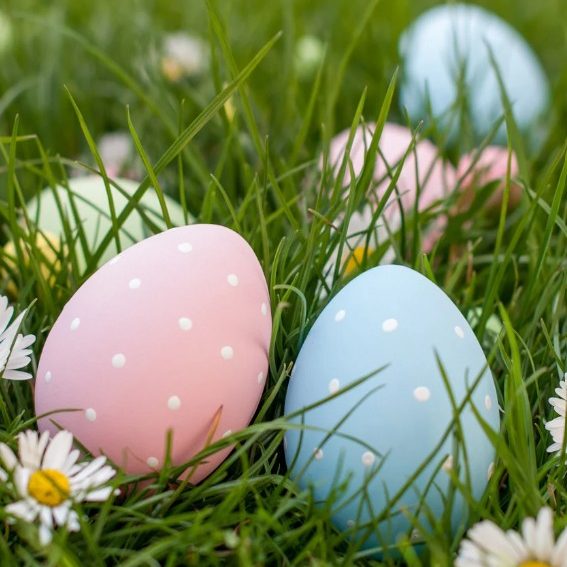 Unser Dienstagsteam1 Unser Dienstagsteam1